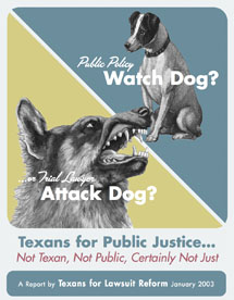 Texans for Public Justice…